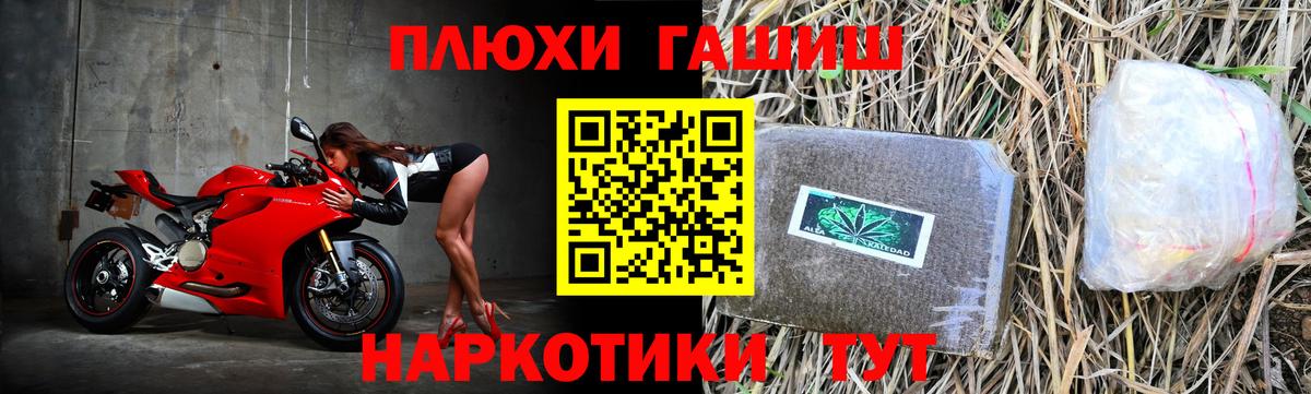 ГАШ Premium Орёл
