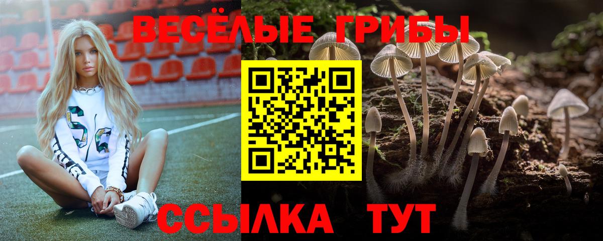 Галлюциногенные грибы прущие грибы Орёл