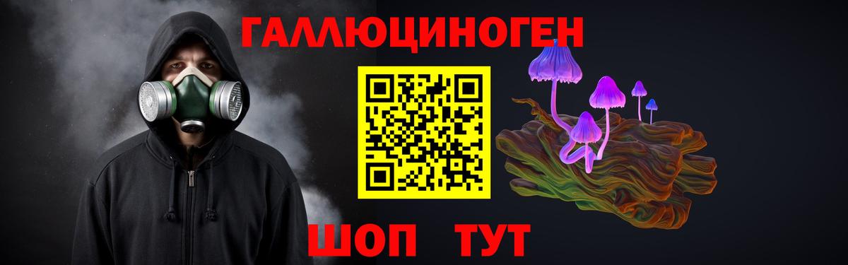 Орёл  где найти   Вход с VPN  Галлюциногенные грибы Psilocybe 